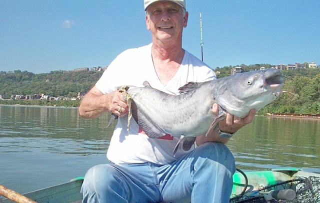 My biggest catfish so far this year a 17 pound BLUE CAT! caught 9-16-08