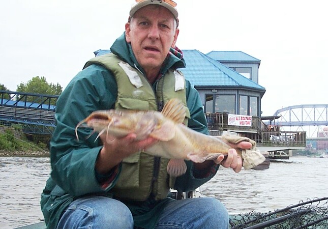My FIRST CAT OF SEPT 20th.2006 6.5 pound Flathead catfish