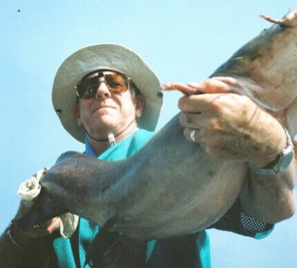 my big flathead