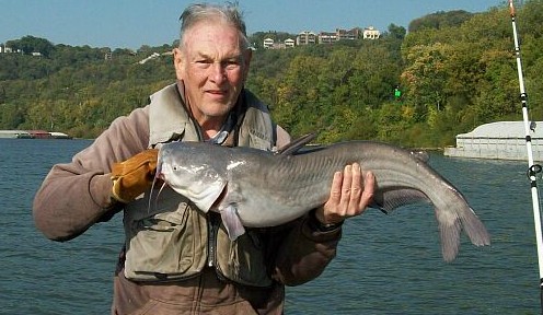 MY brother's 13 pound Bluecat last fish of the dayOhio River near Cincinnati. Oct. 4th. 2012!!