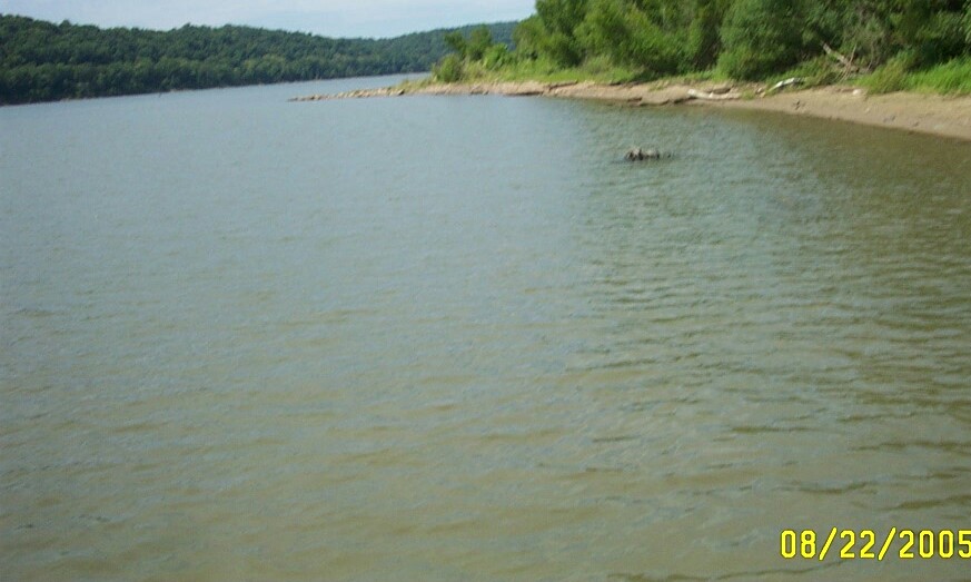bank area BELOW the dock at Neville Ohio