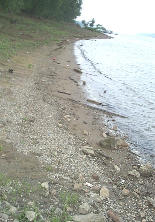 bank above the dock